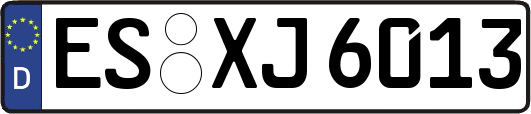 ES-XJ6013