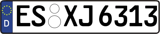 ES-XJ6313