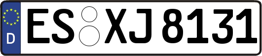 ES-XJ8131