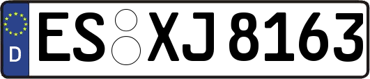 ES-XJ8163
