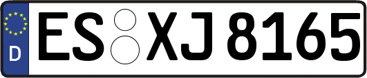 ES-XJ8165
