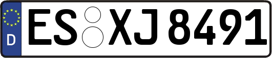 ES-XJ8491