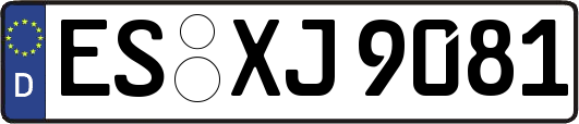 ES-XJ9081