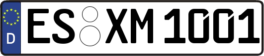 ES-XM1001