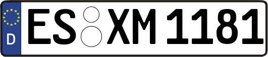 ES-XM1181