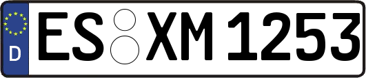 ES-XM1253
