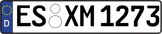 ES-XM1273
