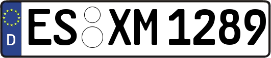 ES-XM1289