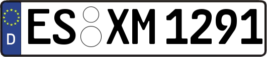 ES-XM1291