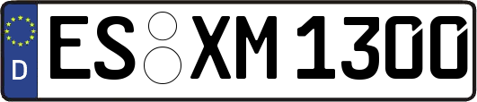 ES-XM1300
