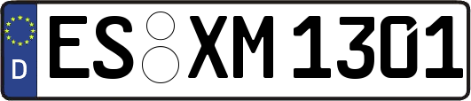 ES-XM1301