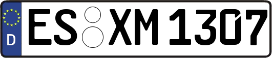 ES-XM1307