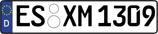 ES-XM1309