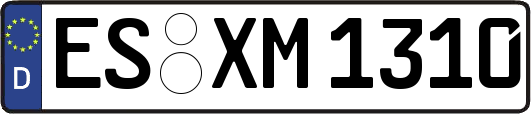 ES-XM1310