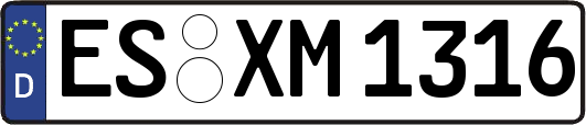ES-XM1316