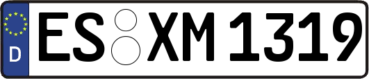 ES-XM1319