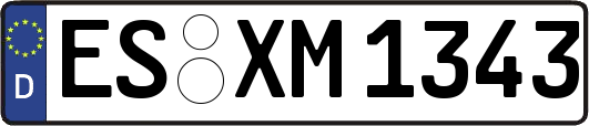 ES-XM1343
