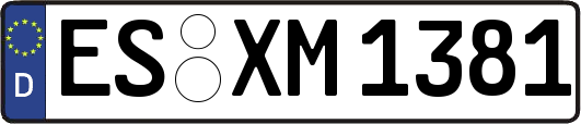 ES-XM1381