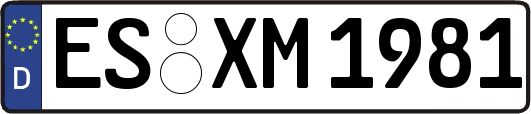 ES-XM1981
