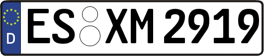 ES-XM2919