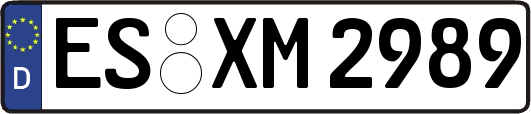 ES-XM2989
