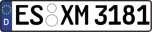 ES-XM3181