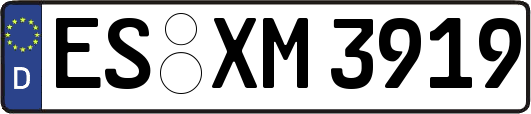 ES-XM3919