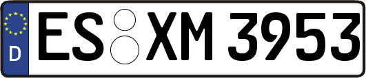 ES-XM3953