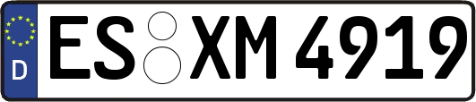 ES-XM4919