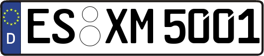 ES-XM5001