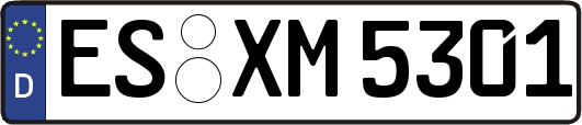 ES-XM5301