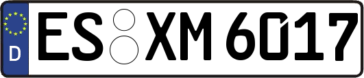 ES-XM6017