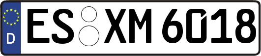 ES-XM6018