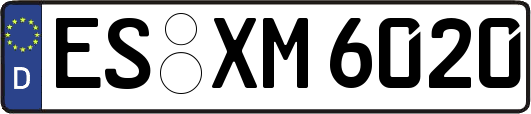 ES-XM6020