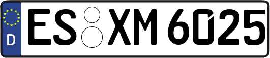 ES-XM6025