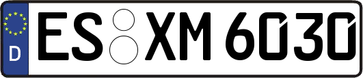ES-XM6030