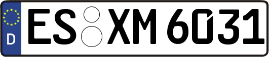 ES-XM6031