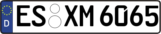 ES-XM6065