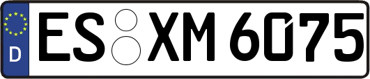 ES-XM6075