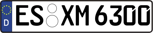 ES-XM6300