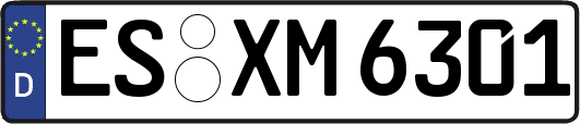 ES-XM6301