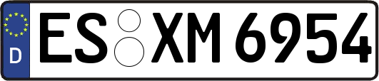 ES-XM6954
