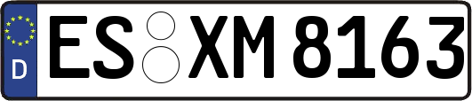 ES-XM8163