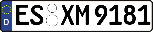 ES-XM9181