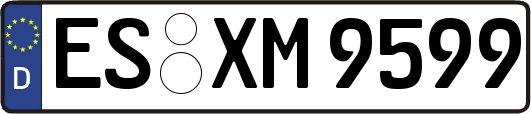 ES-XM9599