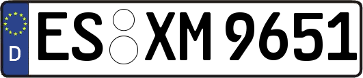 ES-XM9651