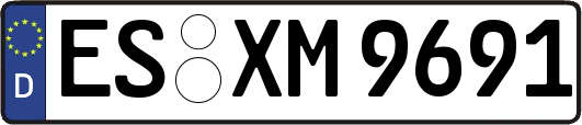 ES-XM9691