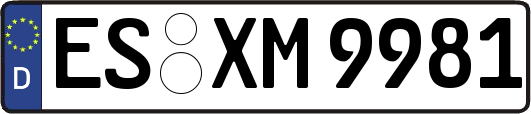 ES-XM9981