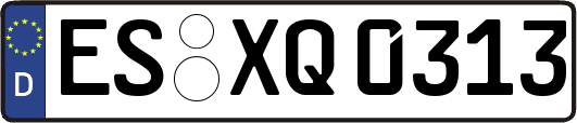 ES-XQ0313