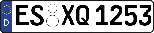 ES-XQ1253